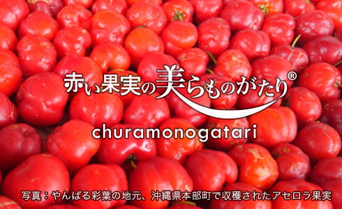 赤い果実の美らものがたり chura monogatari